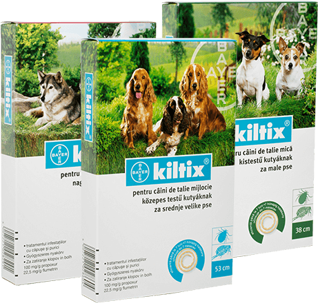 Kiltix