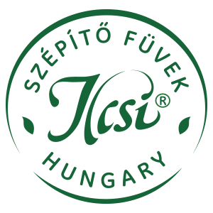 ilcsi logo